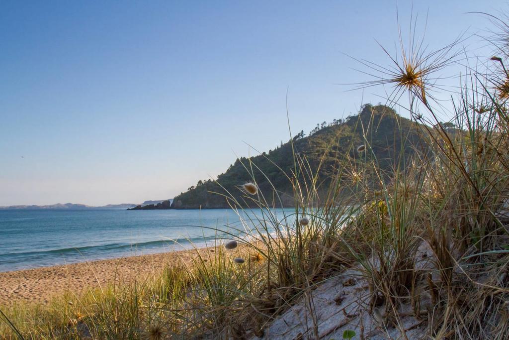 Ocean Cliff Court Βίλα Kuaotunu Εξωτερικό φωτογραφία